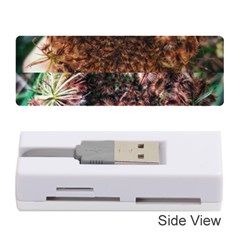 Queen Annes Lace Horizontal Slice Collage Memory Card Reader (stick) by okhismakingart