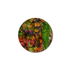 Fall Ivy Golf Ball Marker (4 Pack) by okhismakingart