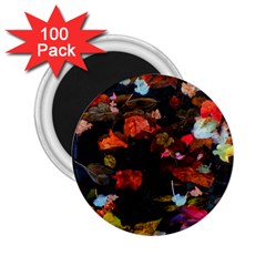 Leaves And Puddle 2 25  Magnets (100 Pack)  by okhismakingart
