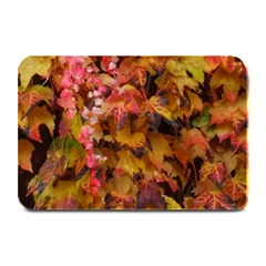 Red And Yellow Ivy Plate Mats by okhismakingart
