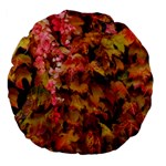 Red and Yellow Ivy Large 18  Premium Flano Round Cushions Front