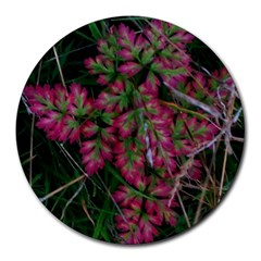 Pink-fringed Leaves Round Mousepads by okhismakingart