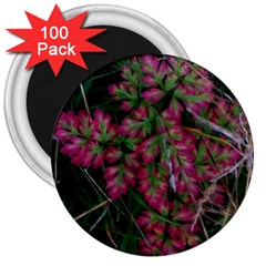 Pink-fringed Leaves 3  Magnets (100 Pack) by okhismakingart