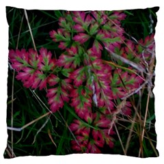 Pink-fringed Leaves Large Cushion Case (one Side) by okhismakingart