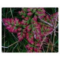 Pink-fringed Leaves Double Sided Flano Blanket (medium)  by okhismakingart