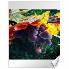 Mushrooms Canvas 18  X 24  by okhismakingart