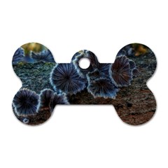 Tree Fungus Dog Tag Bone (two Sides)