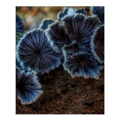 Tree Fungus Shower Curtain 60  X 72  (medium)  by okhismakingart