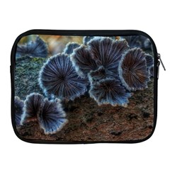 Tree Fungus Apple Ipad 2/3/4 Zipper Cases by okhismakingart