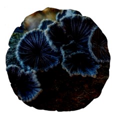 Tree Fungus Large 18  Premium Flano Round Cushions by okhismakingart