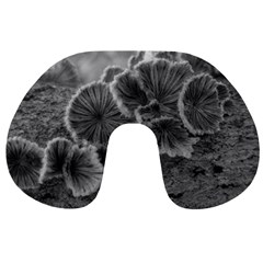 Tree Fungus Black And White Travel Neck Pillows by okhismakingart