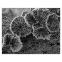 Tree Fungus Black And White Double Sided Flano Blanket (medium)  by okhismakingart