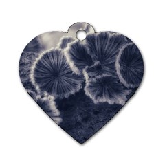 Tree Fungus Ii Dog Tag Heart (one Side) by okhismakingart