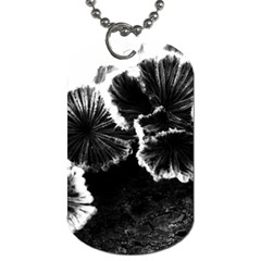 Tree Fungus High Contrast Dog Tag (two Sides) by okhismakingart