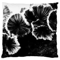 Tree Fungus High Contrast Large Cushion Case (one Side) by okhismakingart