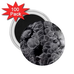 Tree Fungus Branch Vertical Black And White 2 25  Magnets (100 Pack)  by okhismakingart
