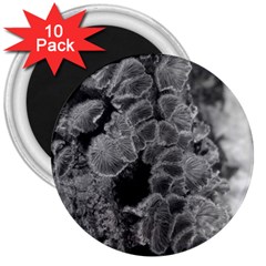Tree Fungus Branch Vertical Black And White 3  Magnets (10 Pack)  by okhismakingart