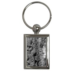 Tree Fungus Branch Vertical Black And White Key Chains (rectangle)  by okhismakingart