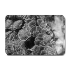 Tree Fungus Branch Vertical Black And White Small Doormat  by okhismakingart
