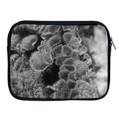 Tree Fungus Branch Vertical Black And White Apple Ipad 2/3/4 Zipper Cases by okhismakingart