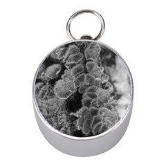 Tree Fungus Branch Vertical Black And White Mini Silver Compasses by okhismakingart