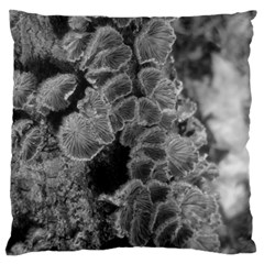 Tree Fungus Branch Vertical Black And White Large Flano Cushion Case (two Sides) by okhismakingart