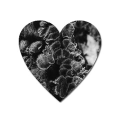 Tree Fungus Branch Vertical High Contrast Heart Magnet