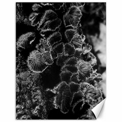 Tree Fungus Branch Vertical High Contrast Canvas 12  X 16  by okhismakingart