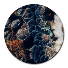 Tree Fungus Branch Vertical Round Mousepads by okhismakingart