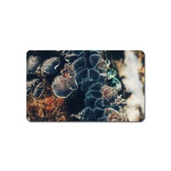 Tree Fungus Branch Vertical Magnet (name Card) by okhismakingart