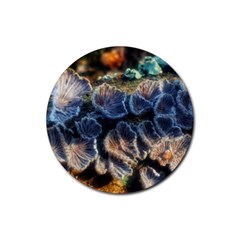 Tree Fungus Branch Rubber Coaster (Round) 