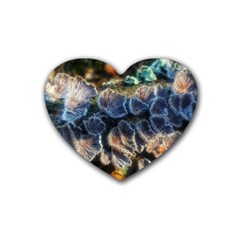 Tree Fungus Branch Heart Coaster (4 pack) 