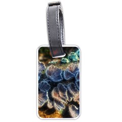 Tree Fungus Branch Luggage Tags (One Side) 