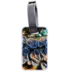 Tree Fungus Branch Luggage Tags (Two Sides)