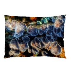 Tree Fungus Branch Pillow Case (Two Sides)