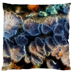 Tree Fungus Branch Large Cushion Case (One Side)