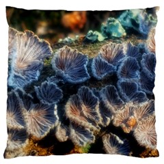 Tree Fungus Branch Large Flano Cushion Case (One Side)