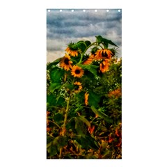 Sunflowers Shower Curtain 36  X 72  (stall)  by okhismakingart