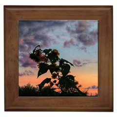 Sunflower Sunset Framed Tiles