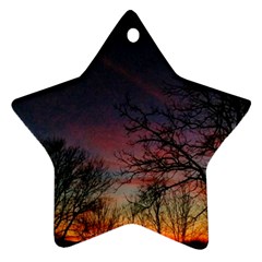 Darkness Falling Ornament (star) by okhismakingart