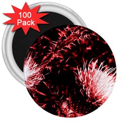 Red Thistle 3  Magnets (100 Pack) by okhismakingart