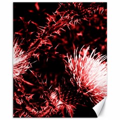 Red Thistle Canvas 11  X 14  by okhismakingart