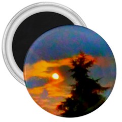 Sunrise And Fir Tree 3  Magnets by okhismakingart