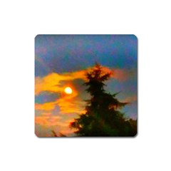 Sunrise And Fir Tree Square Magnet by okhismakingart