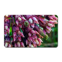 Milkweed Magnet (rectangular) by okhismakingart