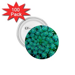 Turquoise Queen Anne s Lace 1 75  Buttons (100 Pack)  by okhismakingart