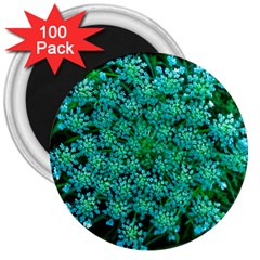 Turquoise Queen Anne s Lace 3  Magnets (100 Pack) by okhismakingart