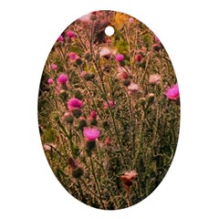 Thistle Field Oval Ornament (two Sides) by okhismakingart