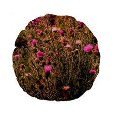 Thistle Field Standard 15  Premium Round Cushions by okhismakingart