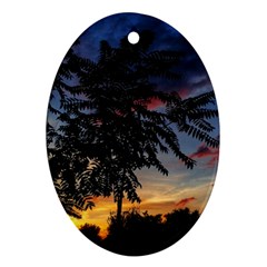 Sumac Sunset Oval Ornament (two Sides) by okhismakingart